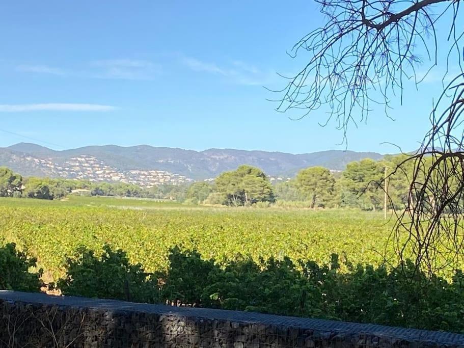 Ravissant T3 En Duplex Proche Mer La Londe-les-Maures Exterior photo